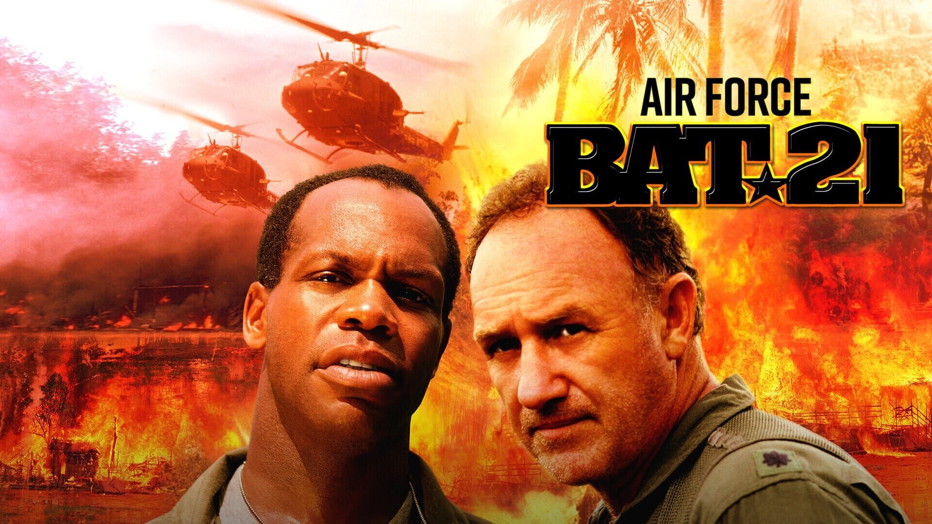 Air Force Bat 21