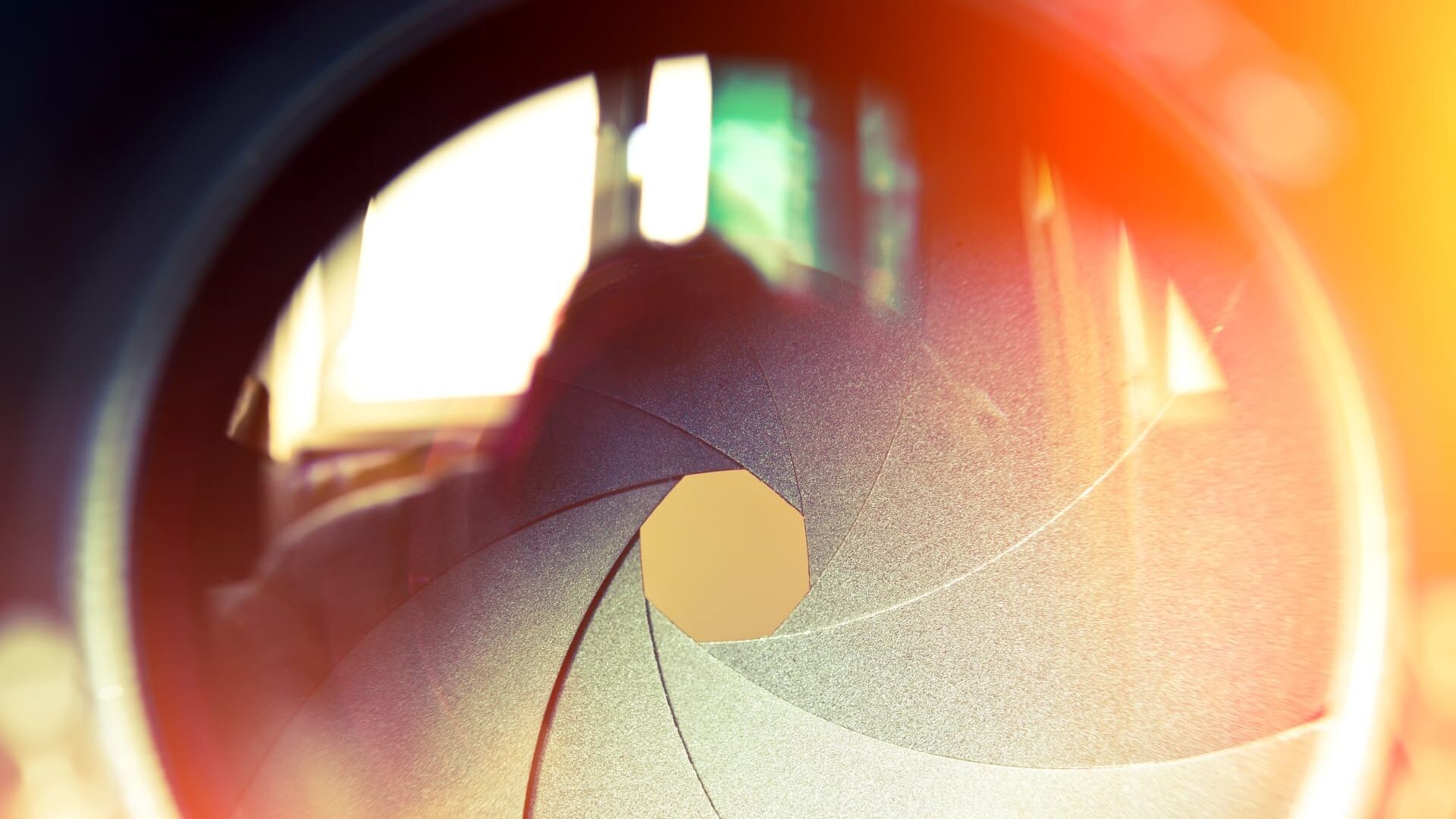 Rencontre avec Lucile Trochet, couturière