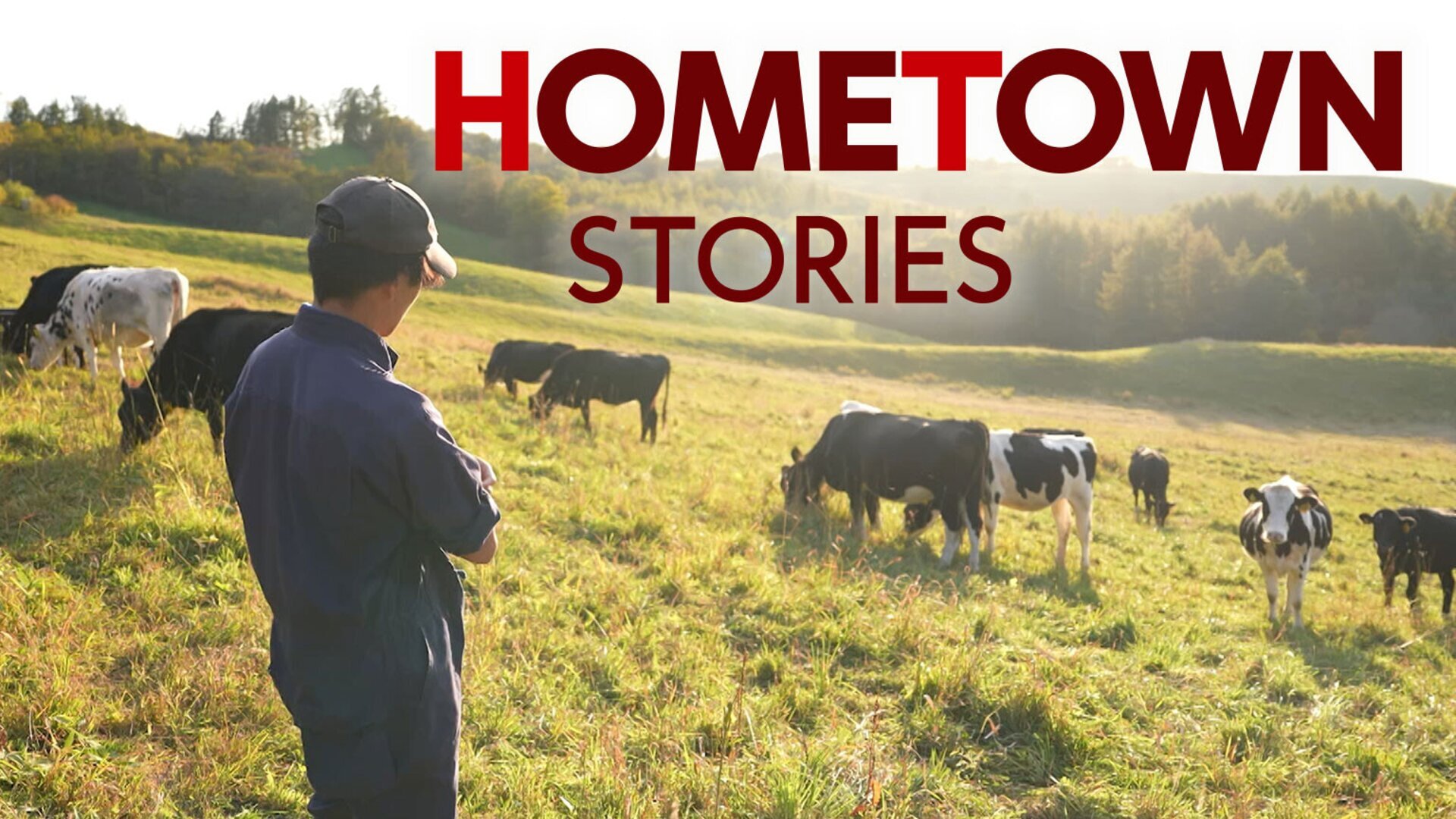 Hometown Stories