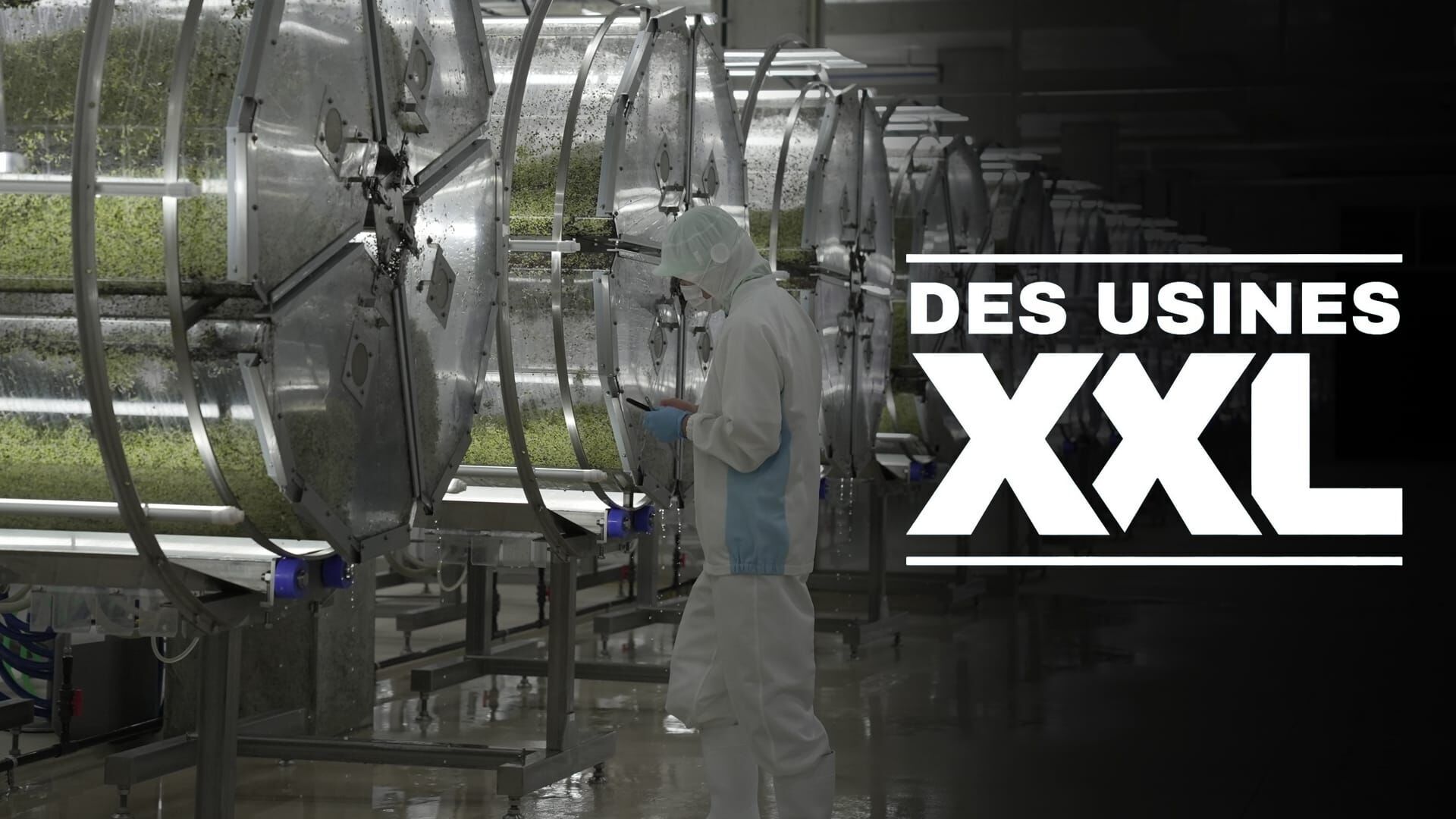 Des usines XXL