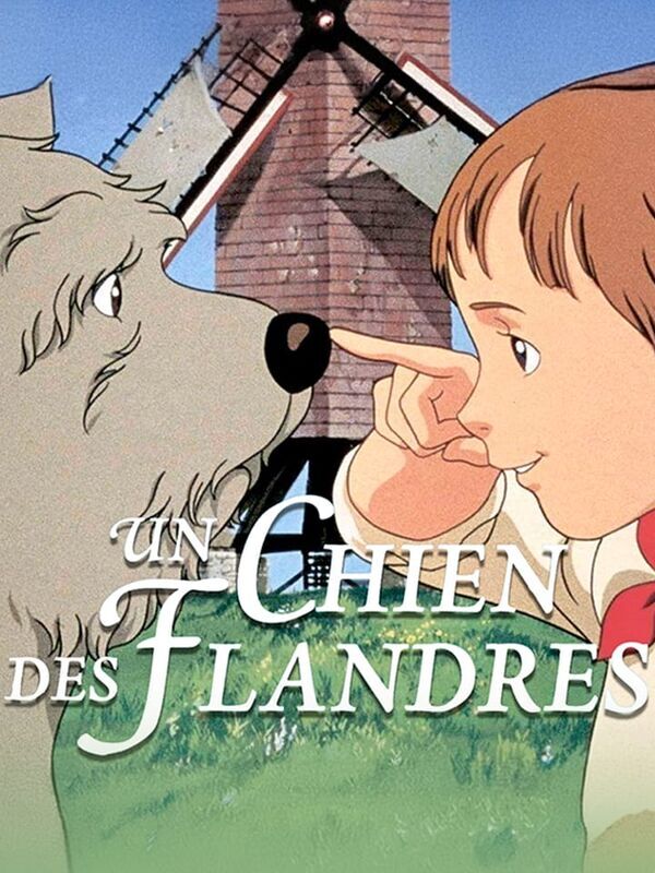 Un chien des Flandres