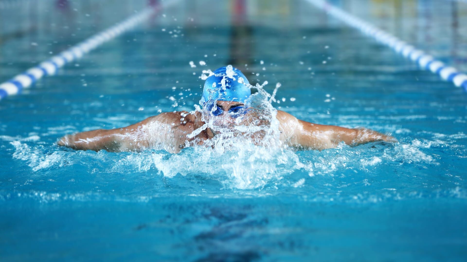 Natation : Championnats de France petit bassin