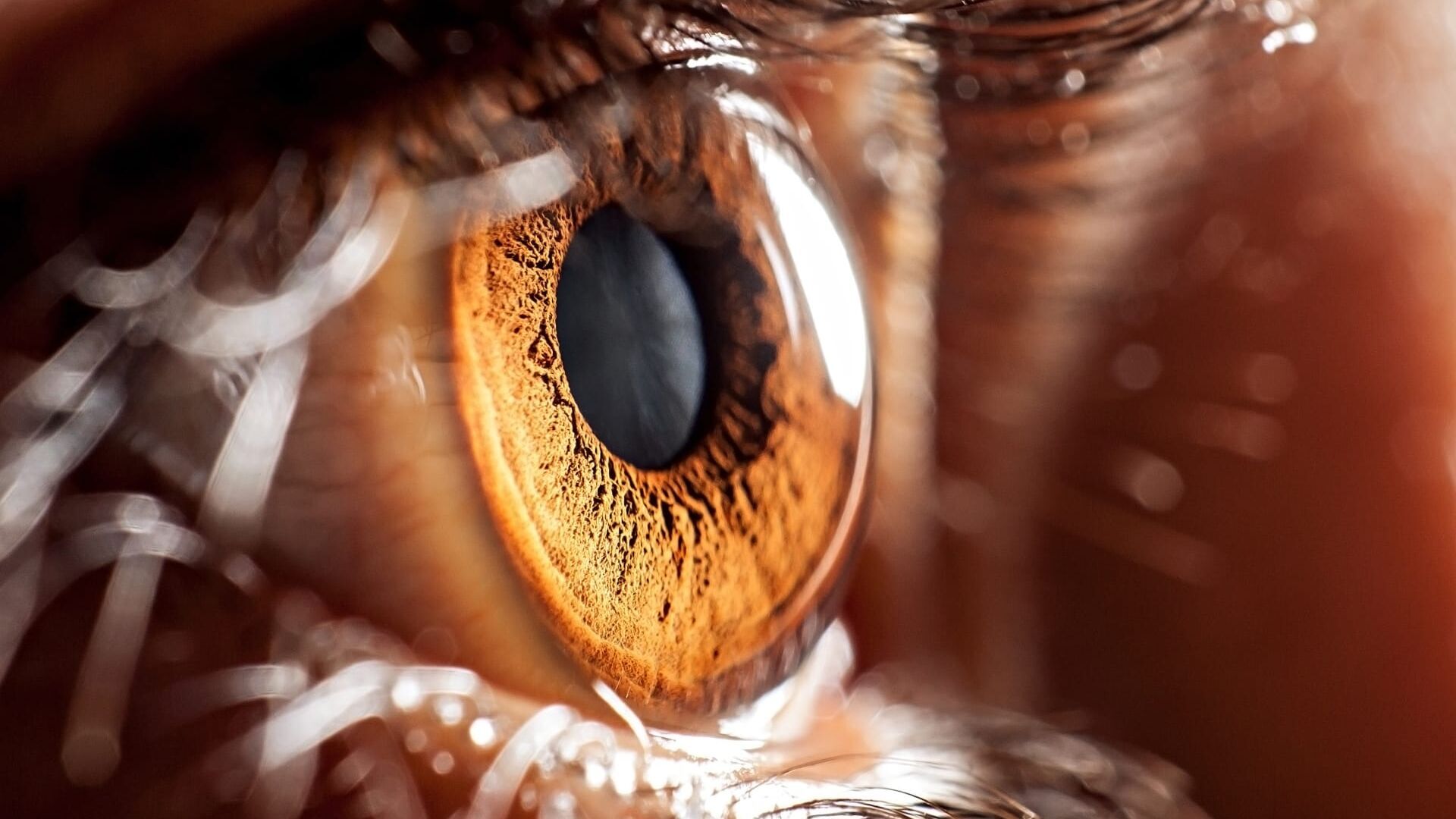 Avec les yeux de Morgane