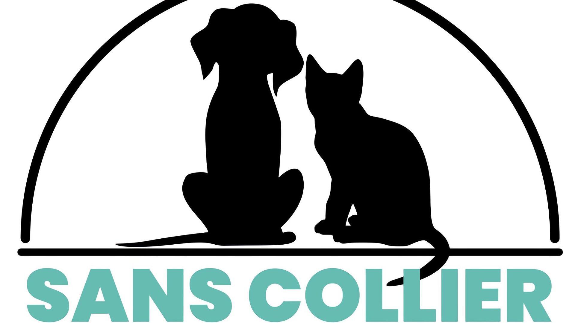 Sans collier