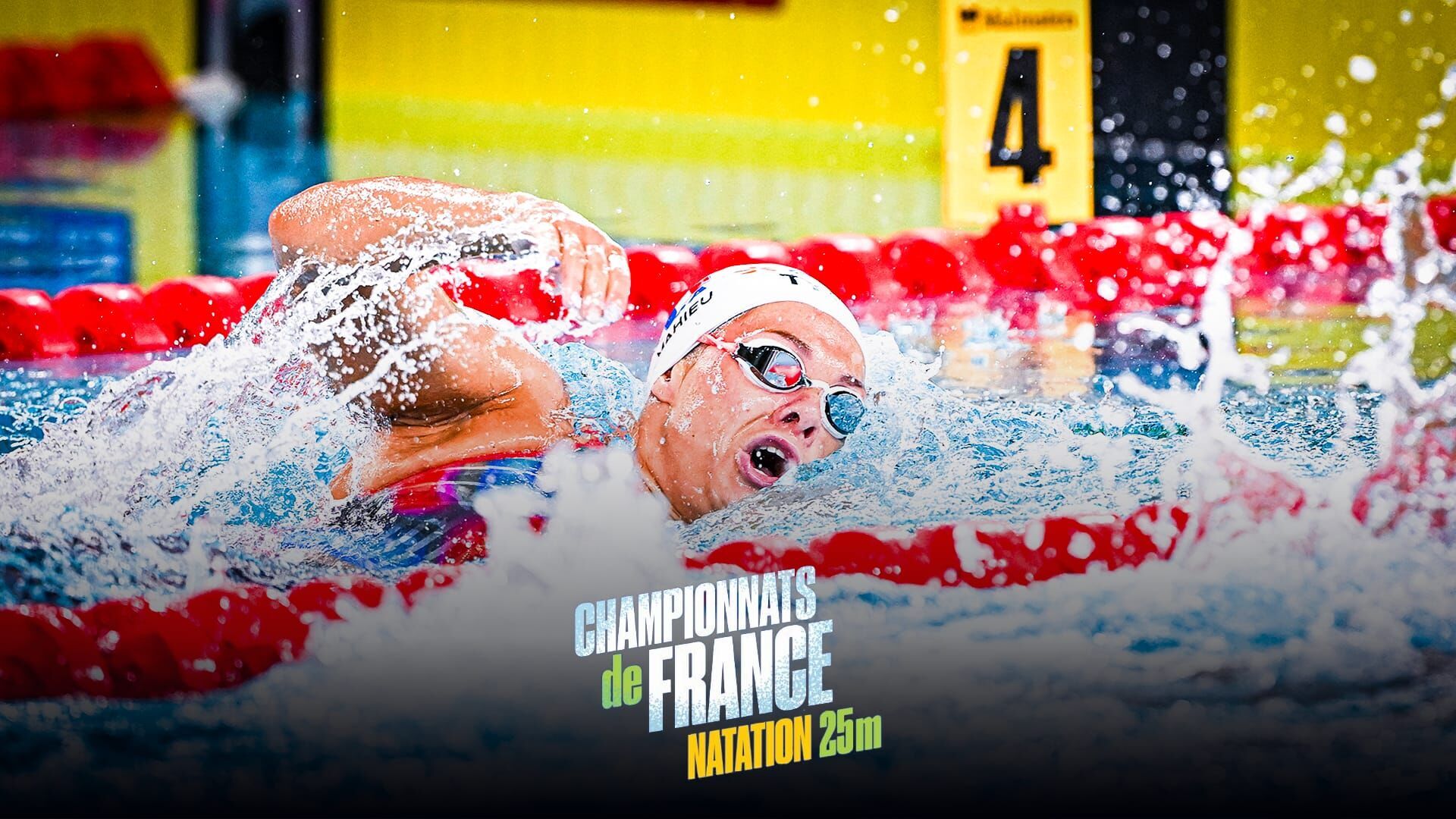 Natation : Championnats de France petit bassin