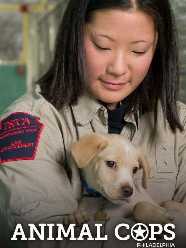 Animal Cops Philadelphia