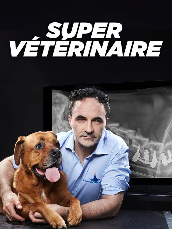 Super vétérinaire — Lexie Charlie and Muffin