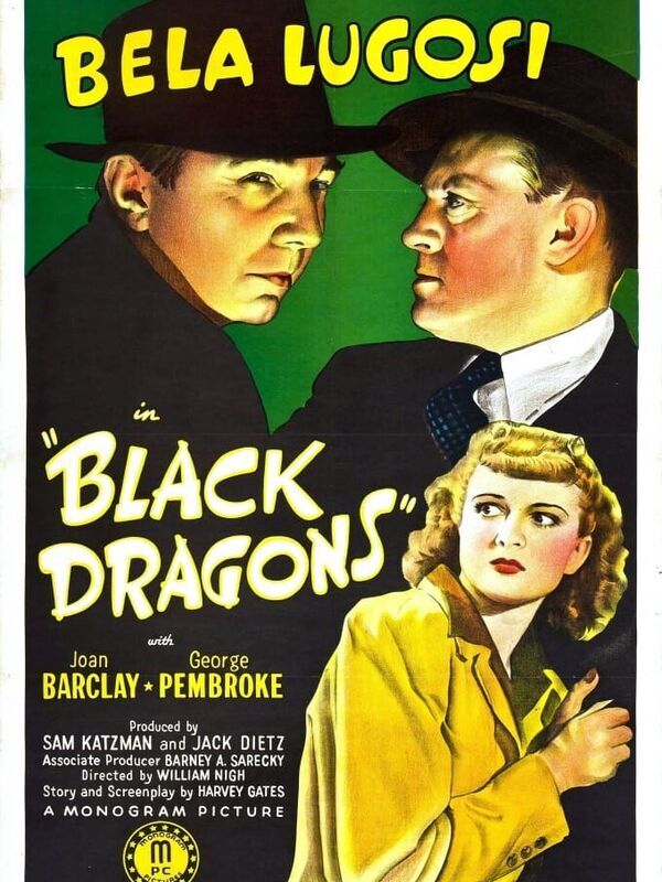 Black Dragons