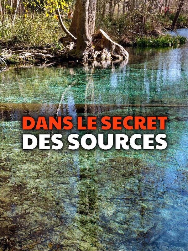Dans le secret des sources