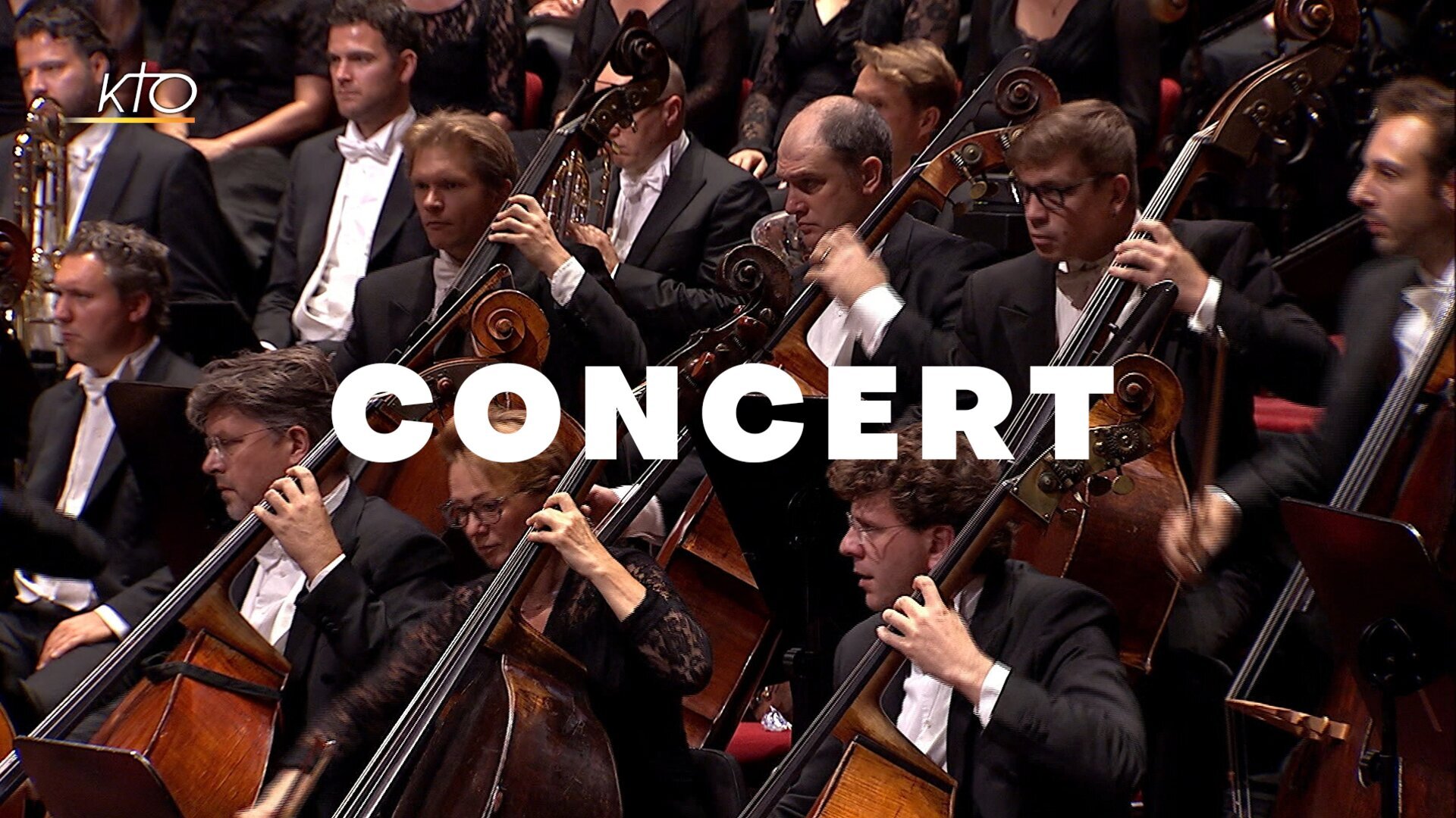 Concert