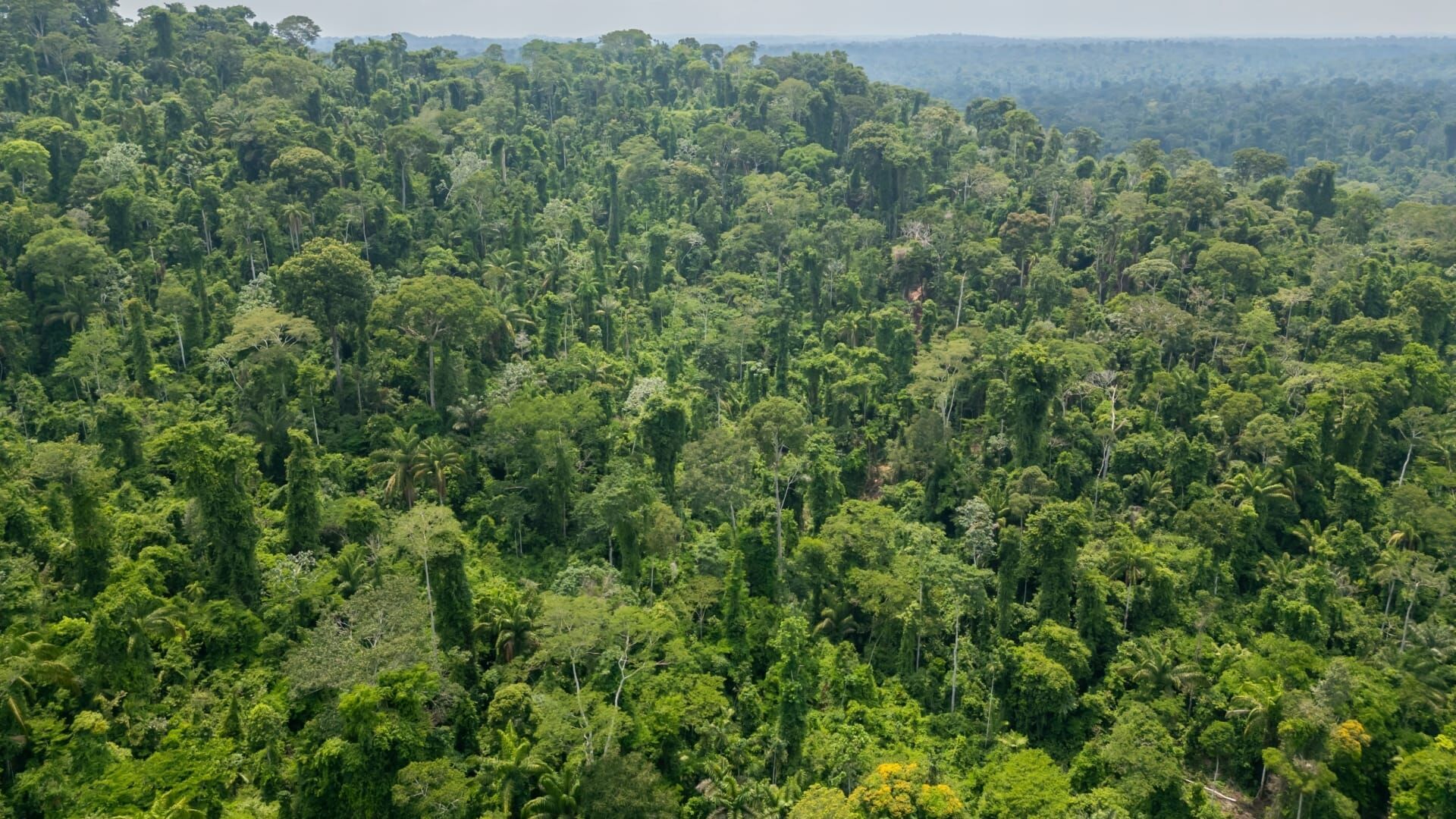 Die größten Geheimnisse der Welt