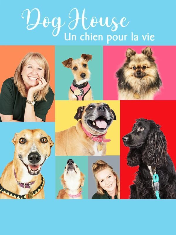Dog House : un chien pour la vie