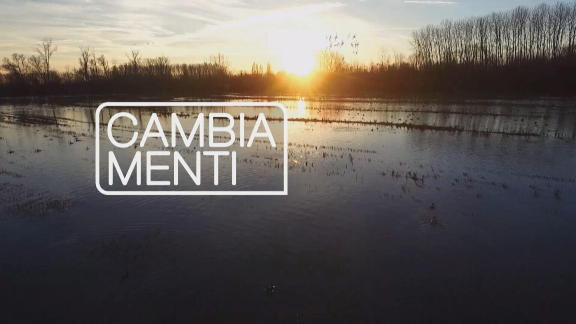 Memex: CambiaMenti