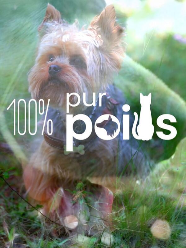 100% pur poils