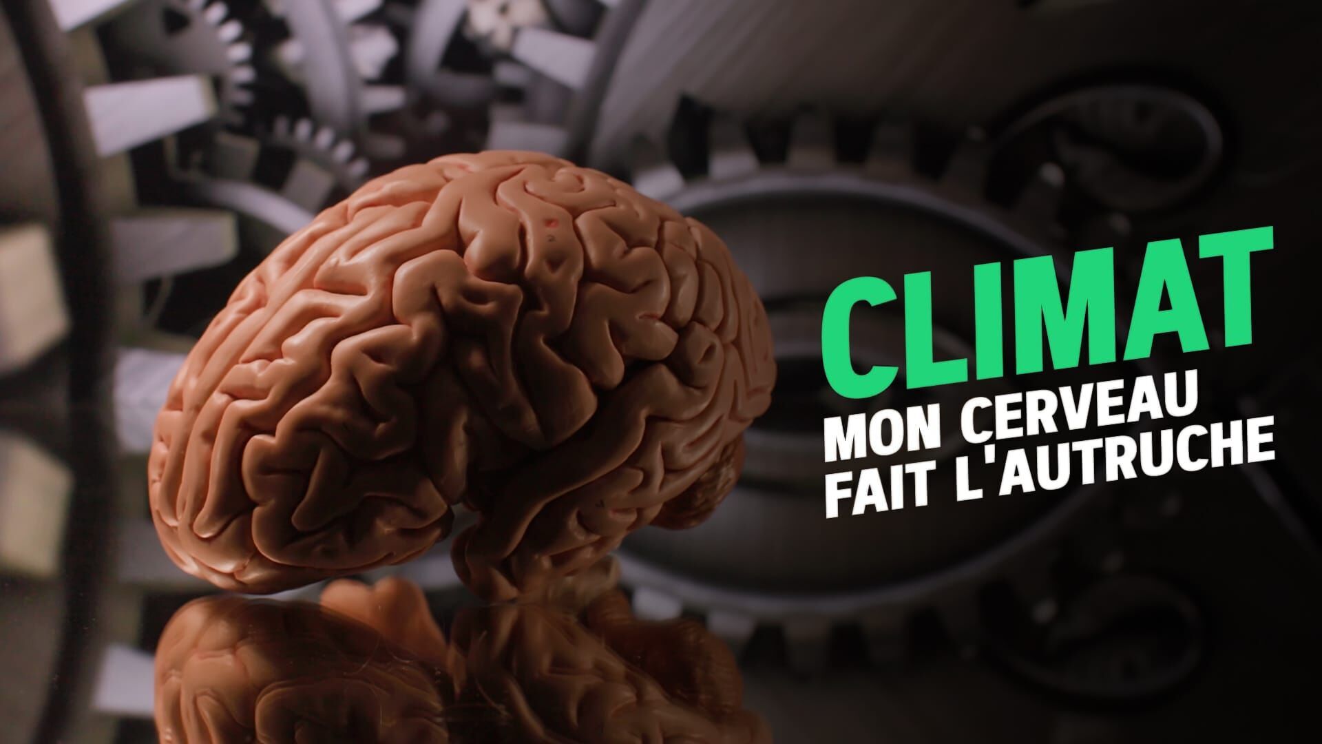 Climat : mon cerveau fait l'autruche