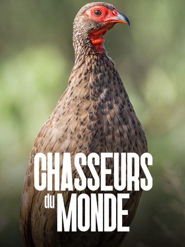 Chasseurs du monde