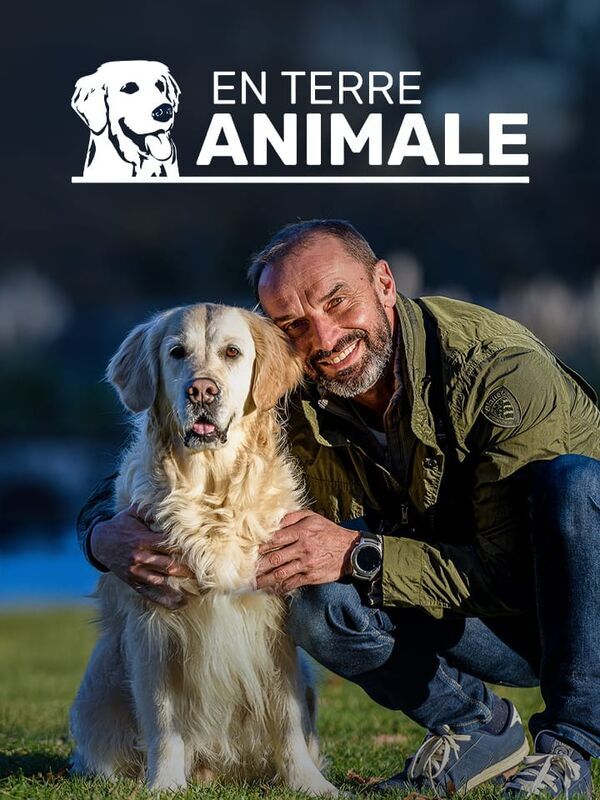 En terre animale