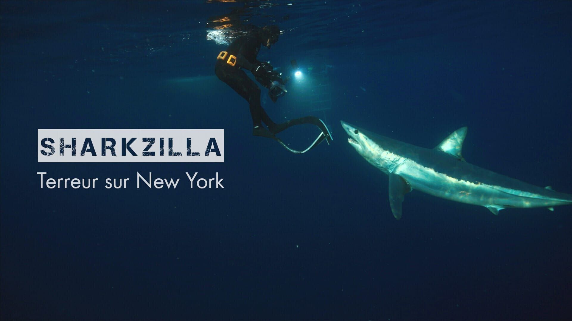 Sharkzilla : terreur sur New York