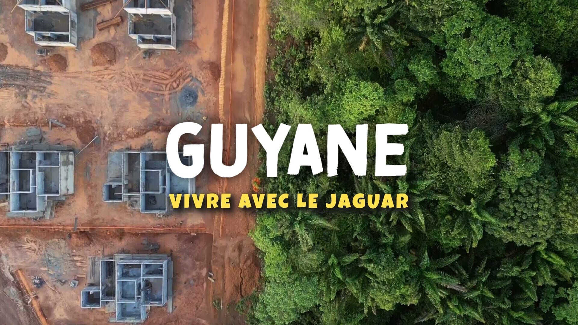 Guyane, vivre avec le jaguar