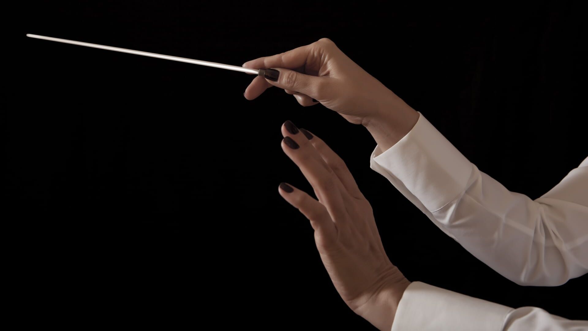 Bruckner : Symphony no. 7 - Scherzo