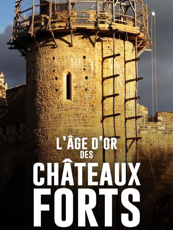 L'âge d'or des châteaux forts