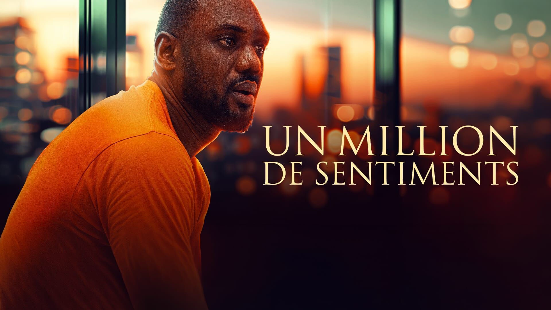Un Million De Sentiments