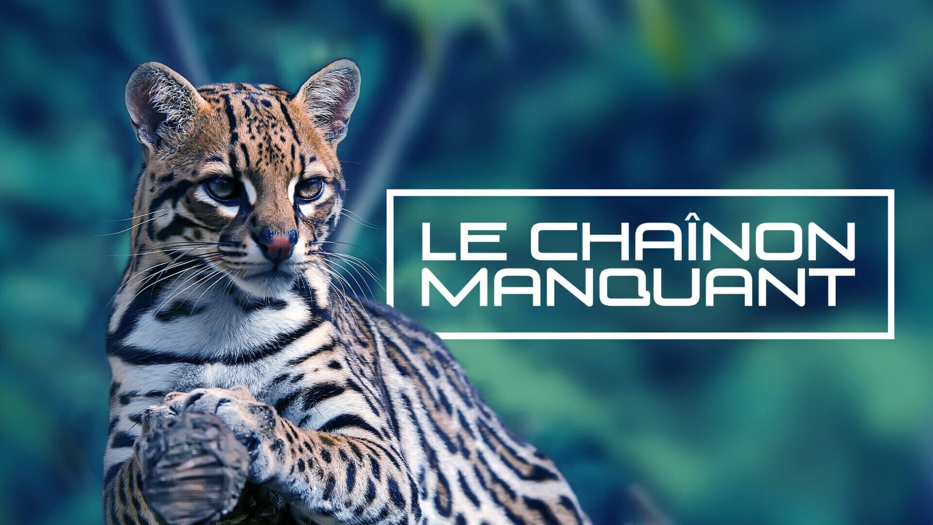 Le Chaînon manquant