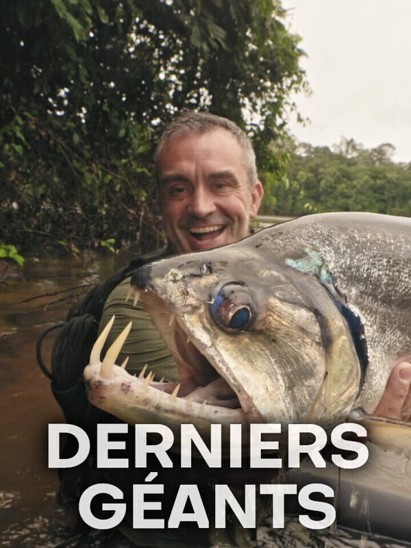 Derniers géants