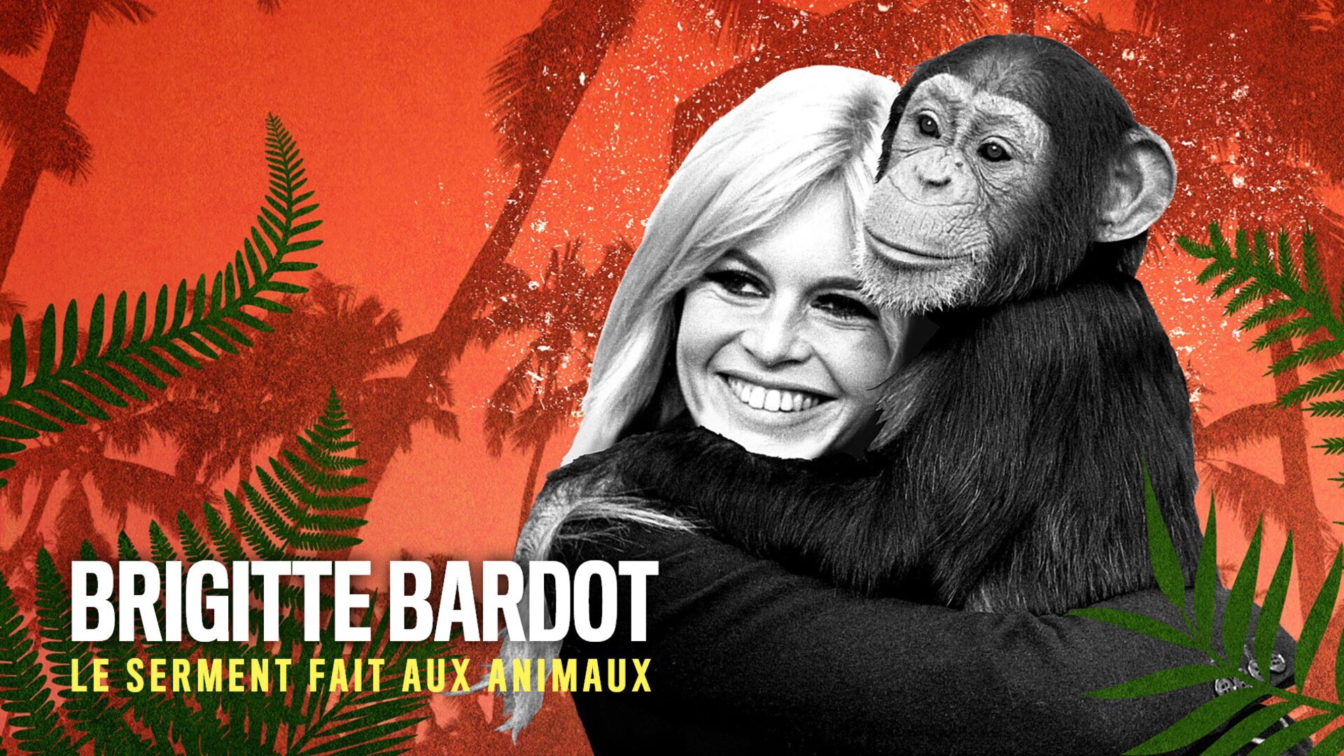 Brigitte Bardot, le serment fait aux animaux