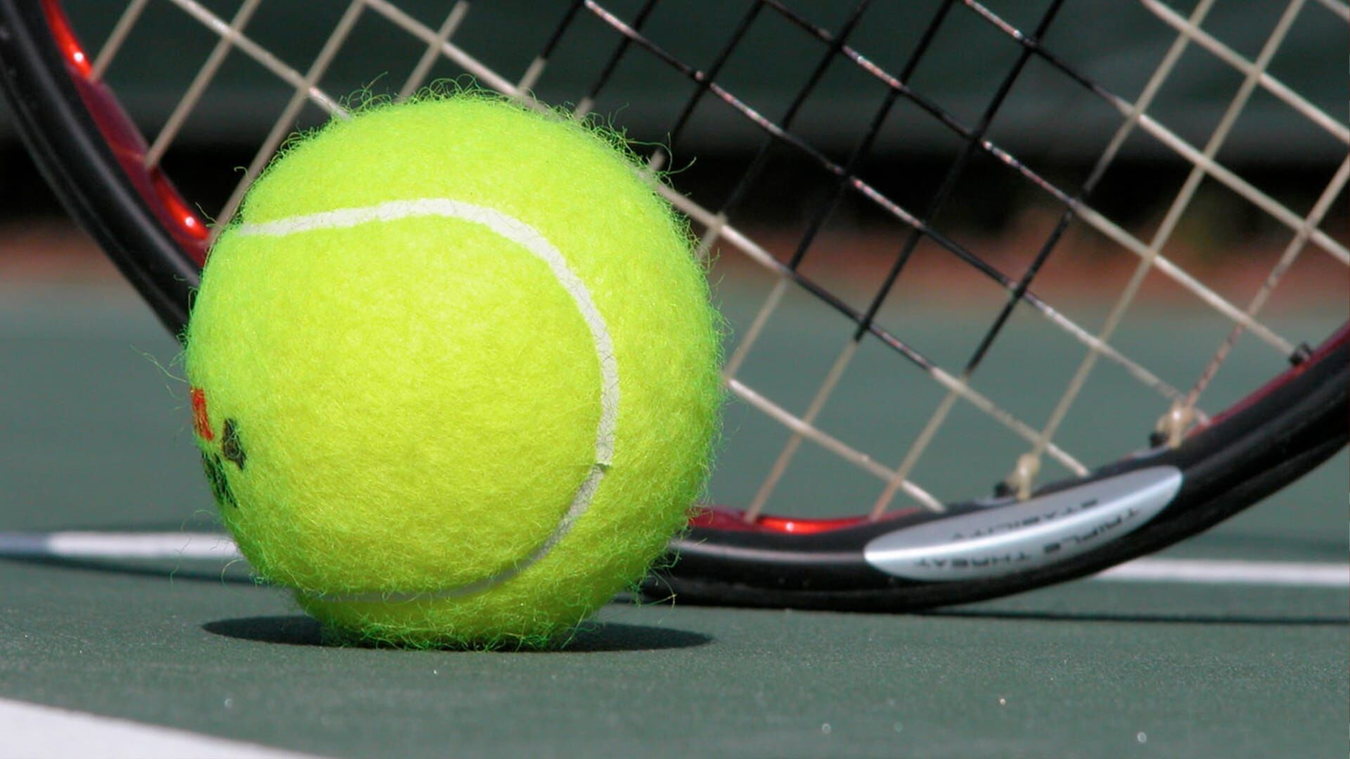 Tennis : Coupe Davis