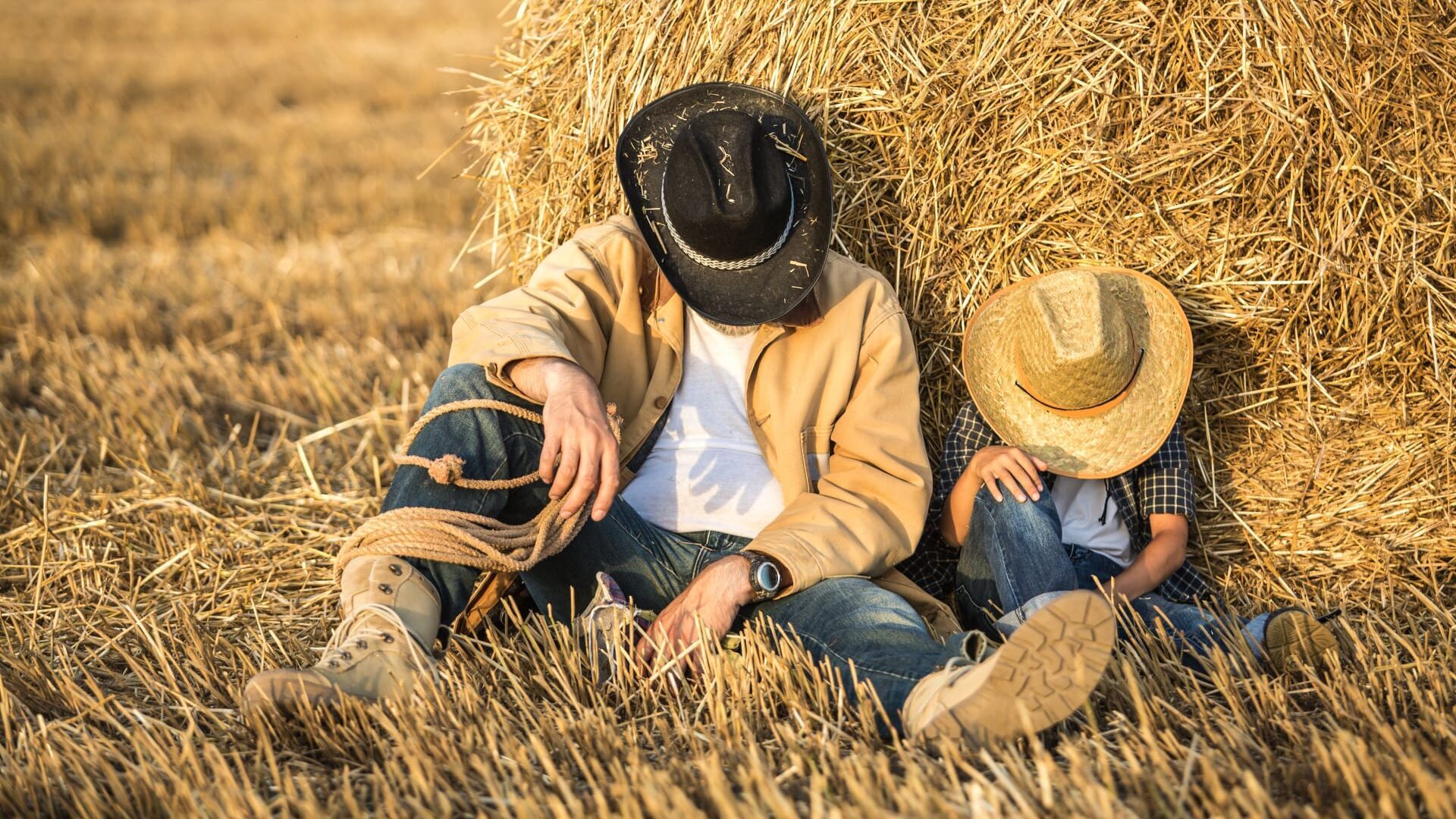 Terre de partage, passion céréales
