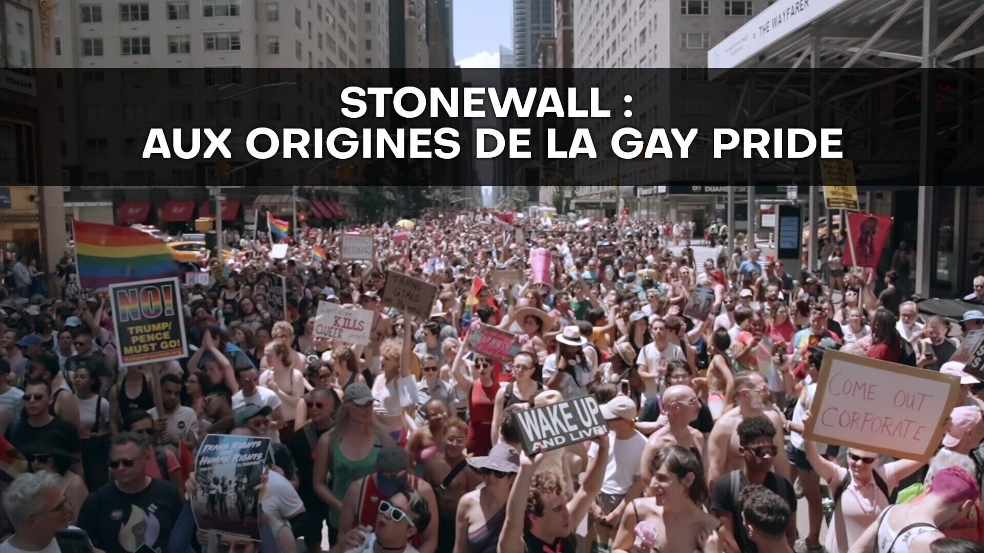 Stonewall : Aux origines de la Gay Pride