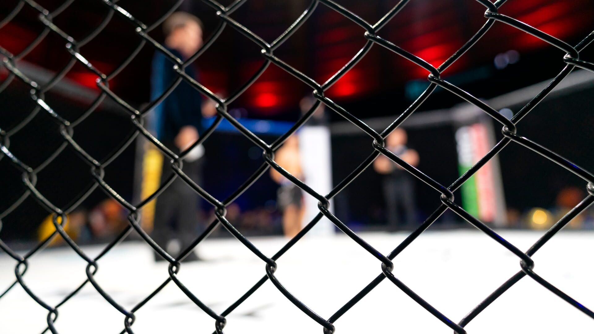 UFC : Conférence de presse