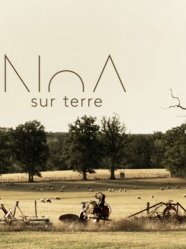 NoA sur terre