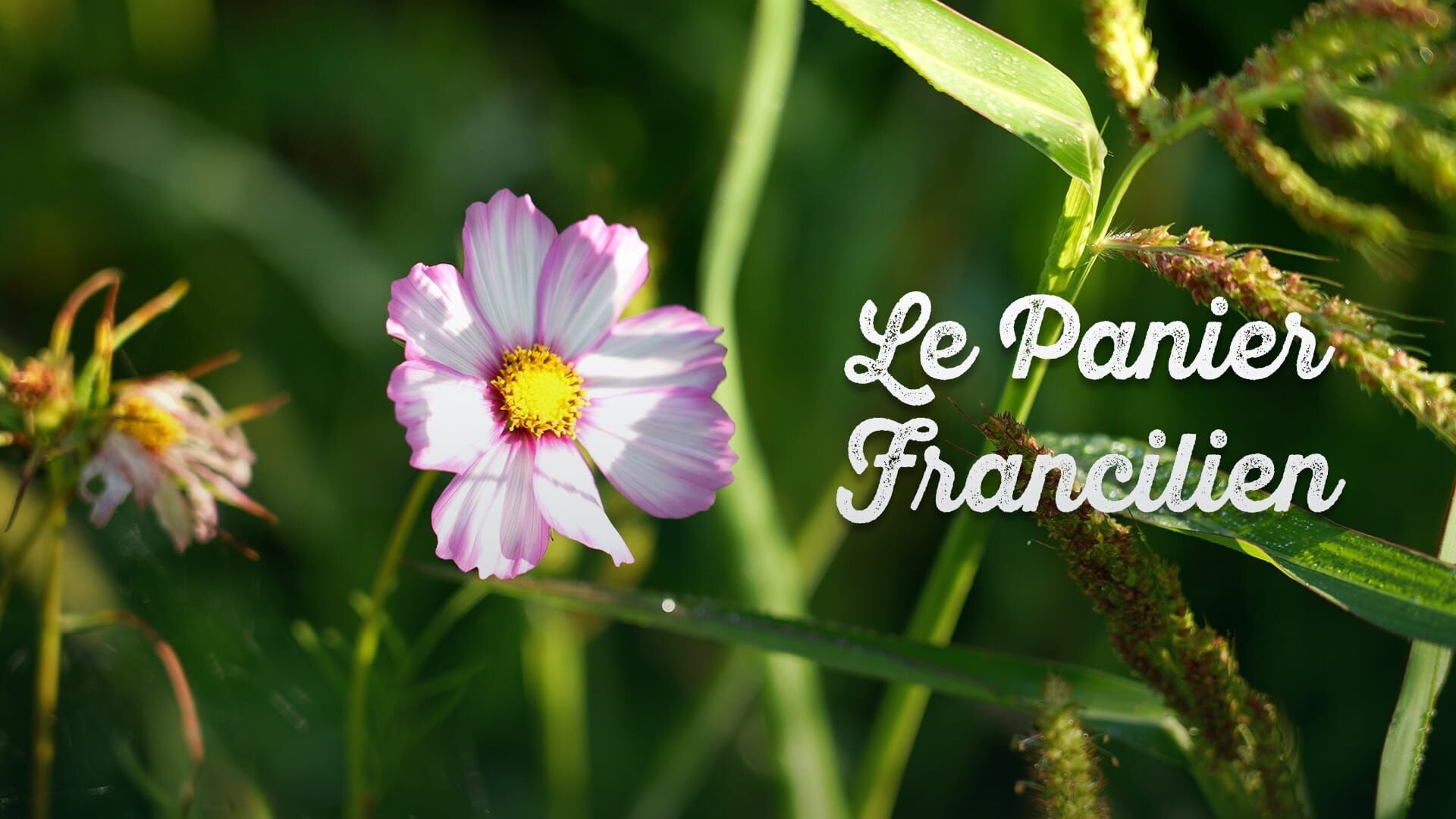 Le panier Francilien