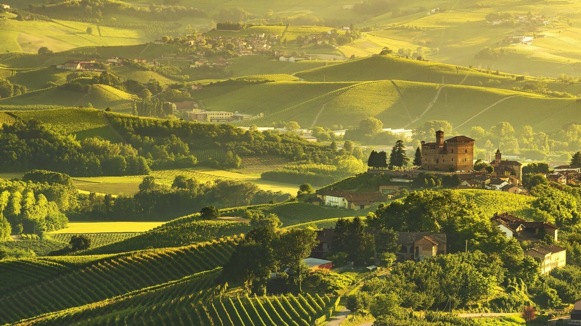 Paesaggi Vitivinicoli Langhe Roero e Monferrato
