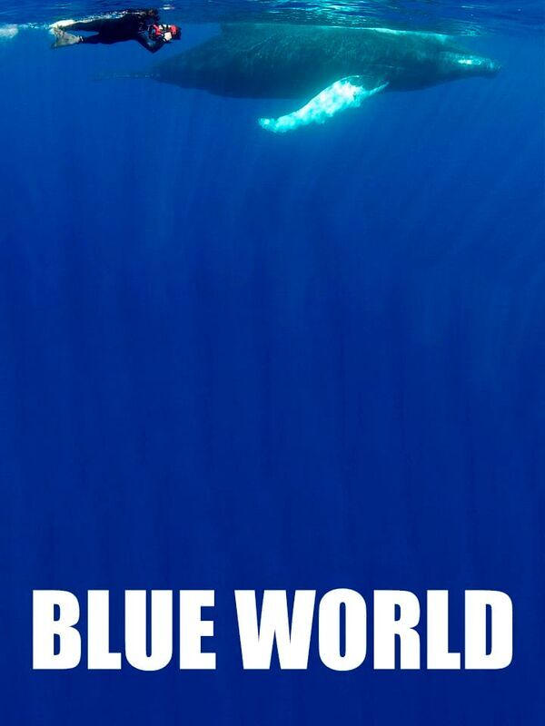 Blue World