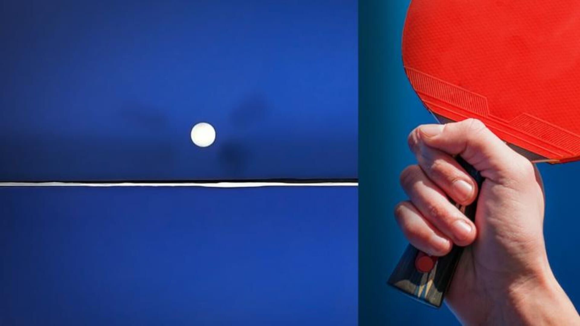 Tennis de table : Championnats d'Europe
