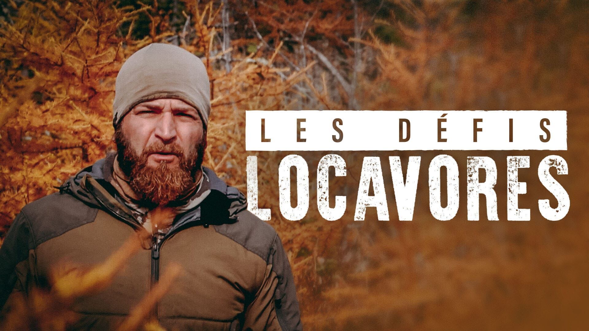 Les défis Locavores