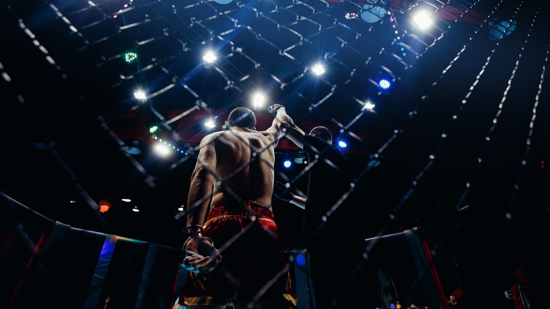 Format MMA