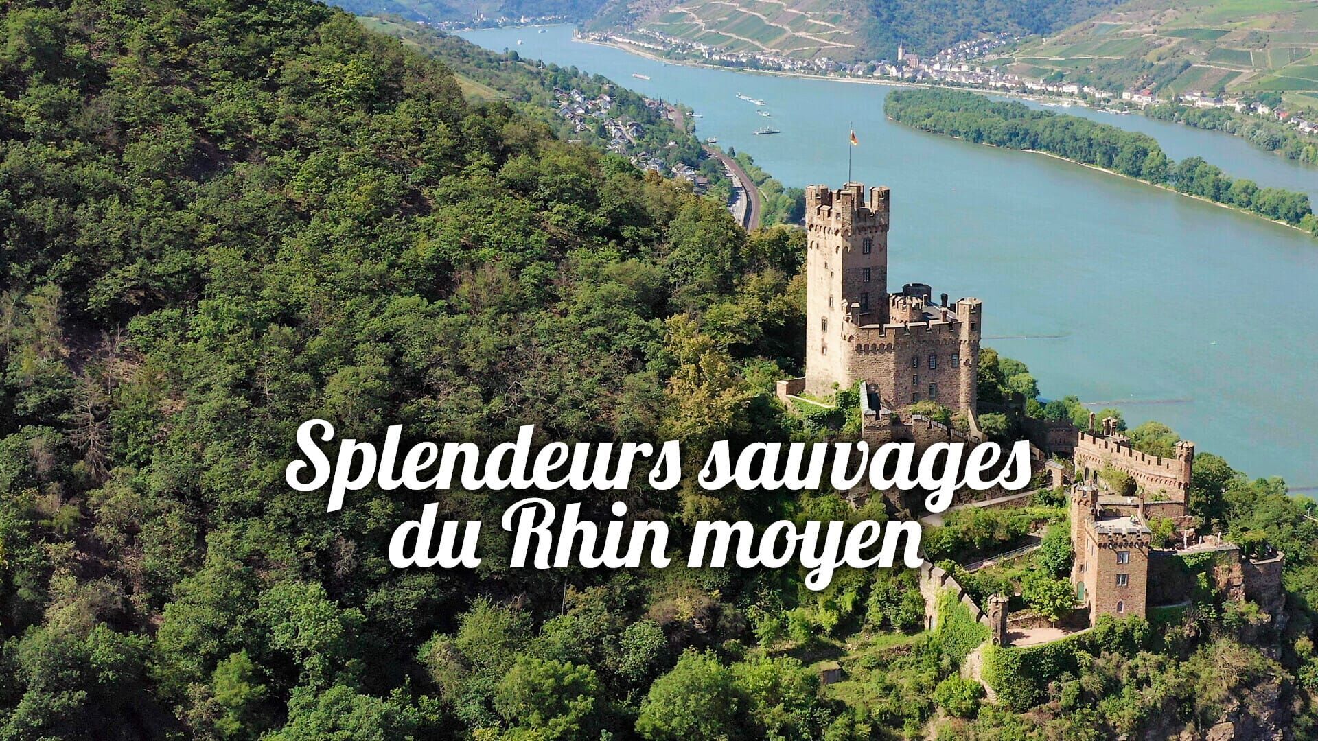 Splendeurs sauvages du Rhin moyen
