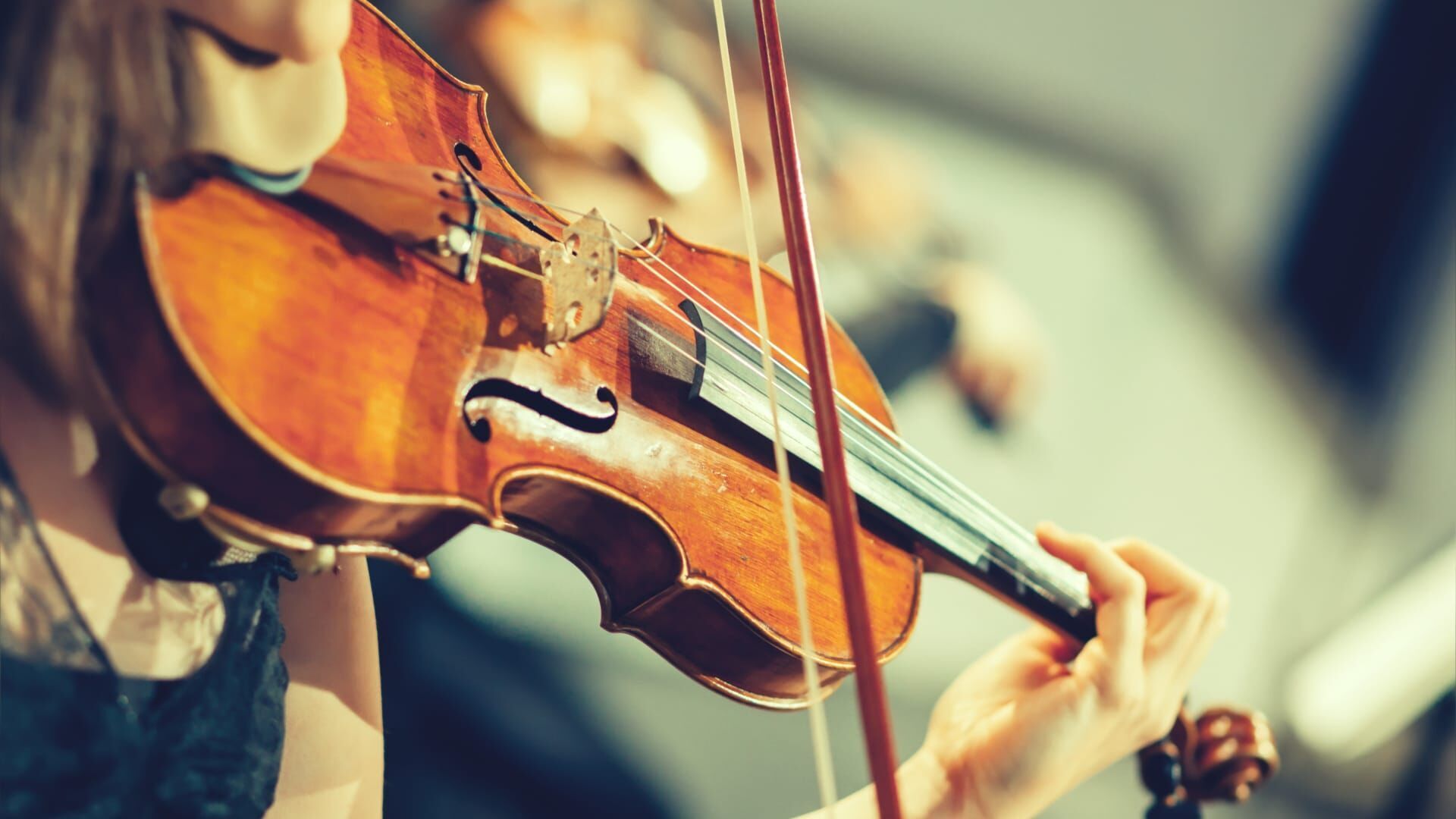 Songs My Mother Taught Me