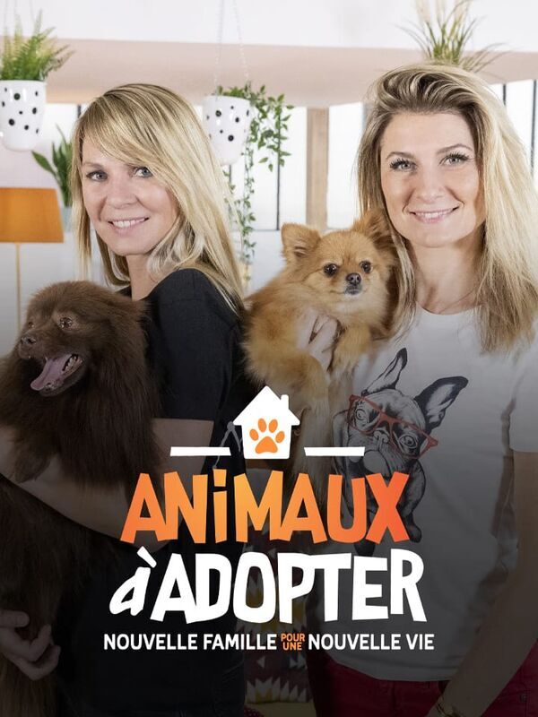 Animaux à adopter : nouvelle famille pour une nouvelle vie