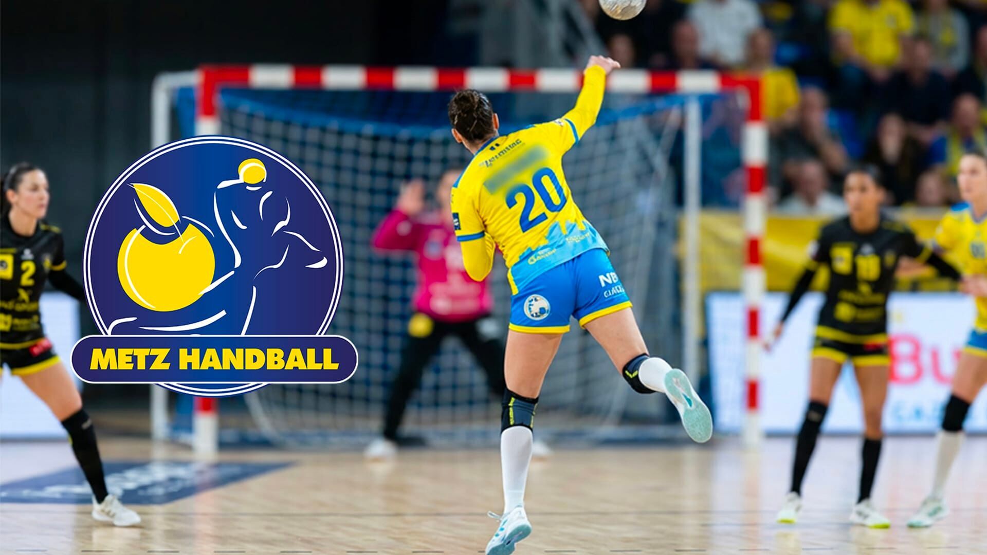 Handball : Championnat de France féminin