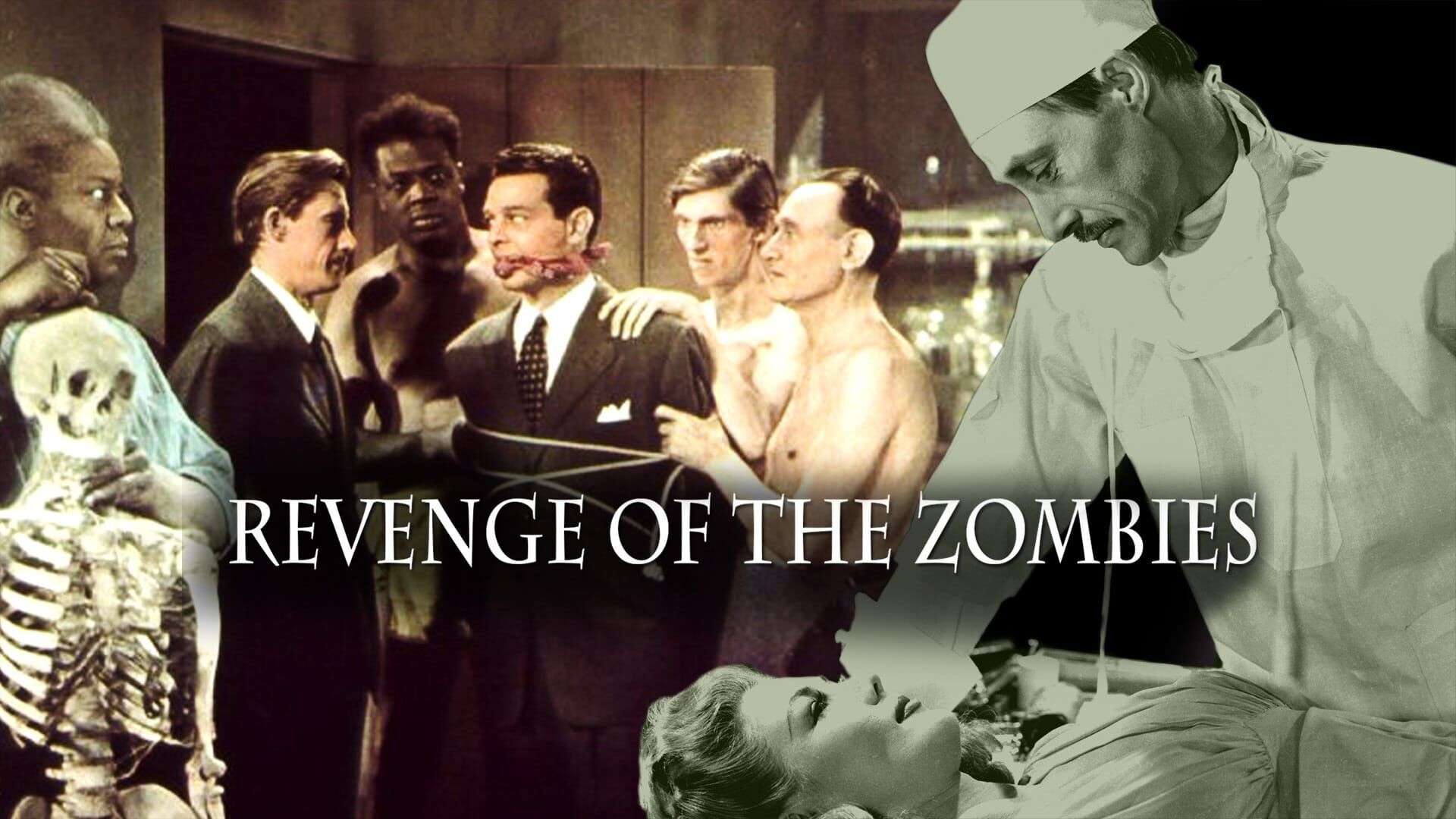 Revenge of the Zombies