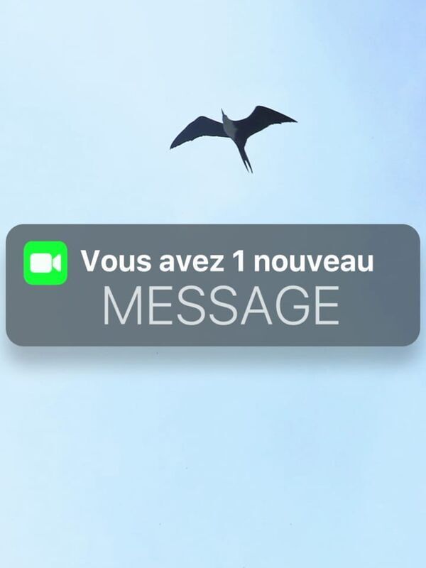 Vous avez un nouveau message