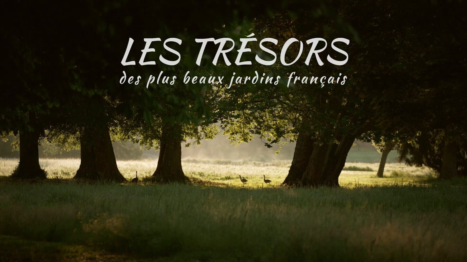 Les trésors des plus beaux jardins français