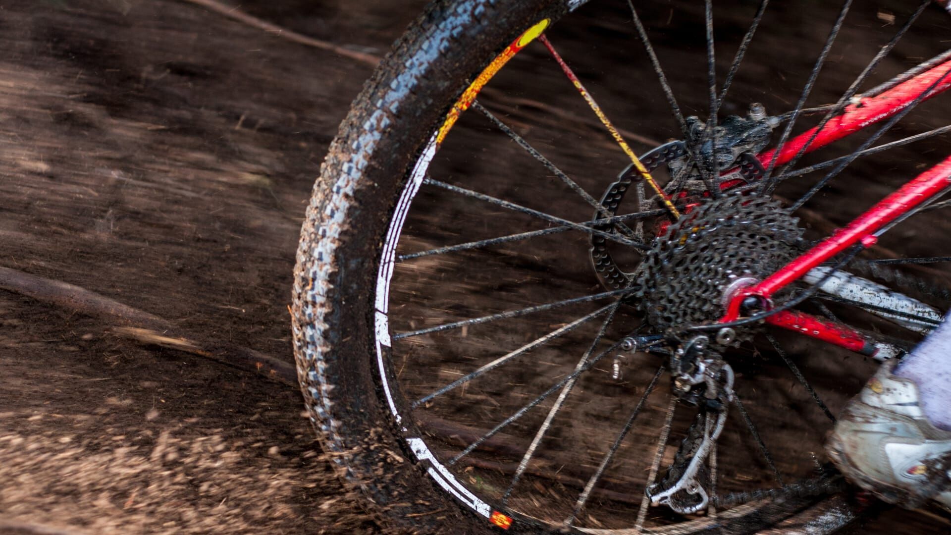 VTT : Championnats d'Europe