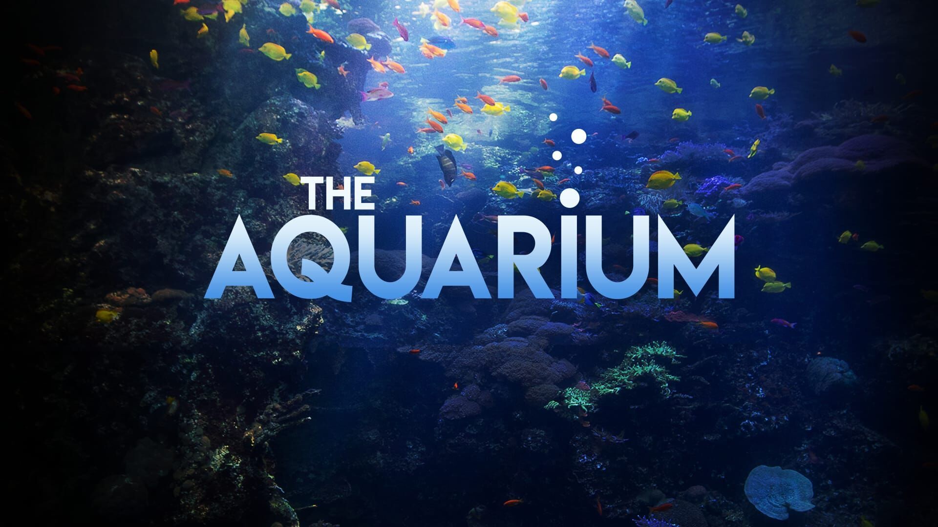 Une saison à l'Aquarium