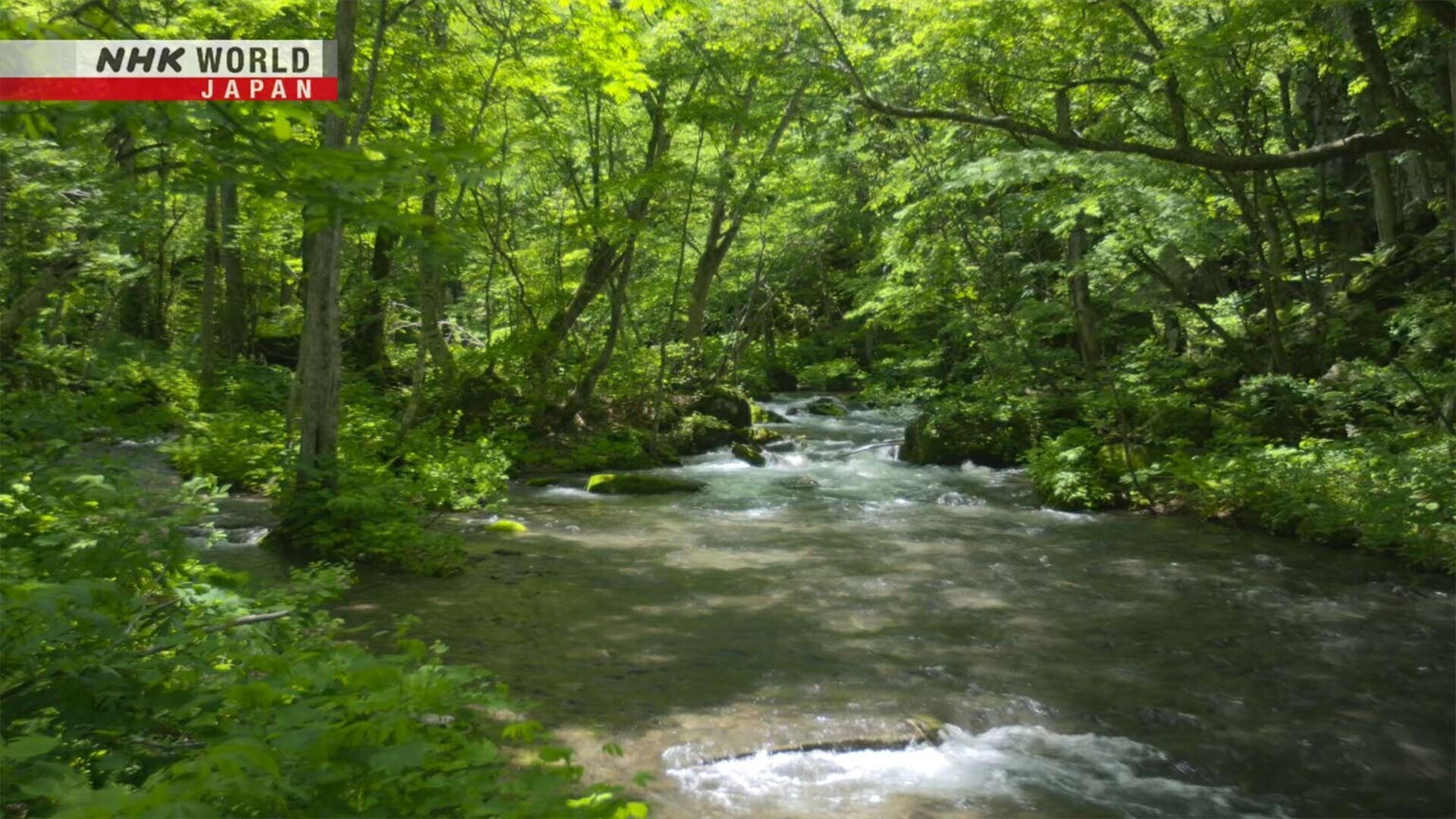 National Parks Of Japan